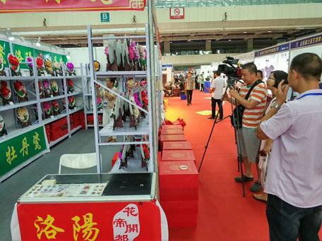 甘肅寧夏參加河州牡丹文化月 甘肅寧夏參加河州牡丹文化月